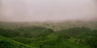 things-to-do-in-munnar