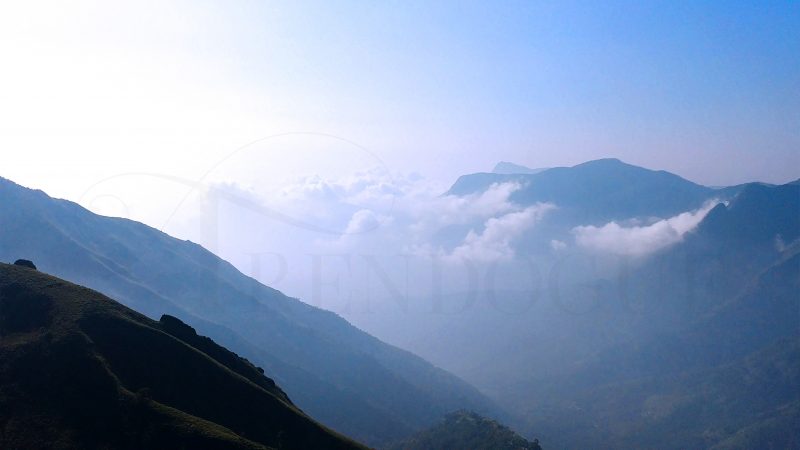 Top-station-munnar